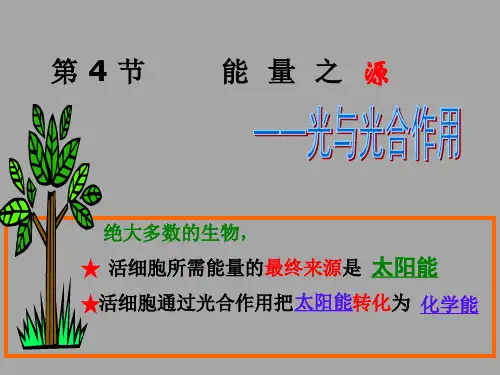 色素与叶绿素ppt课件