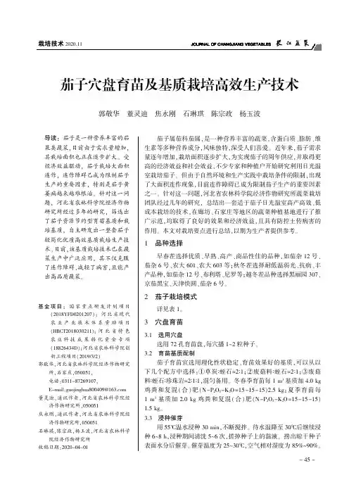 茄子穴盘育苗及基质栽培高效生产技术