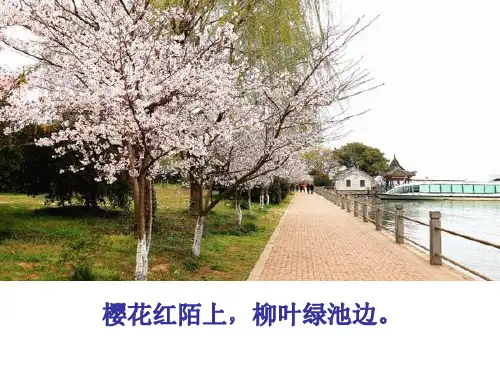 初中生物【芽的类型和发育】优质课件