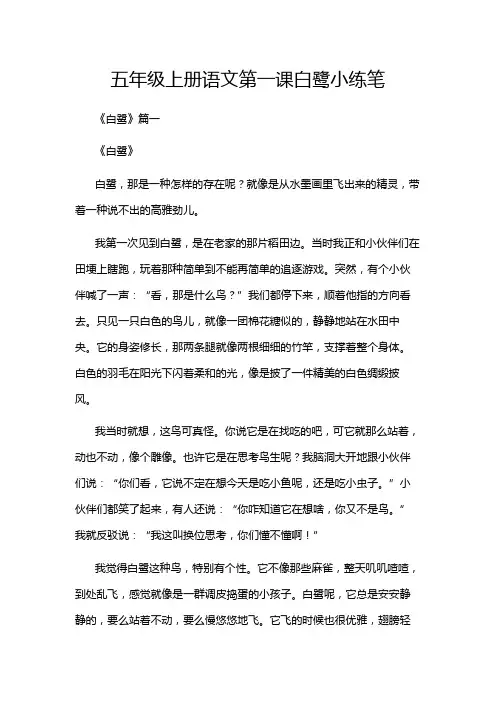 五年级上册语文第一课白鹭小练笔