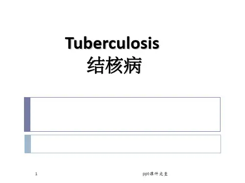病理学--结核病ppt课件