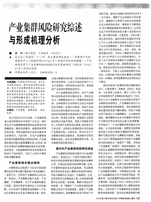 产业集群风险研究综述与形成机理分析