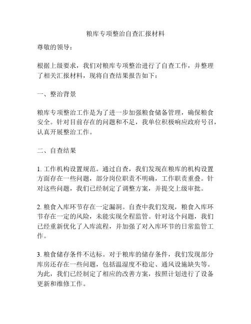 粮库专项整治自查汇报材料