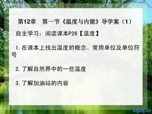 内能