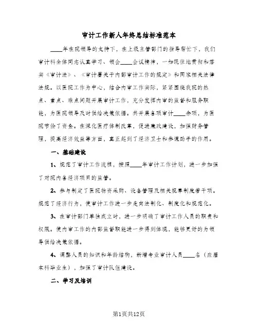 2024年审计工作新人年终总结标准范本（5篇）