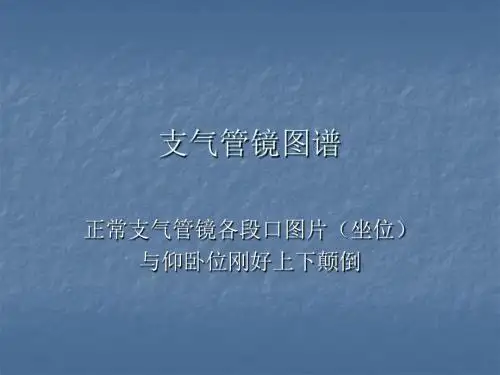 支气管镜图谱讲义.