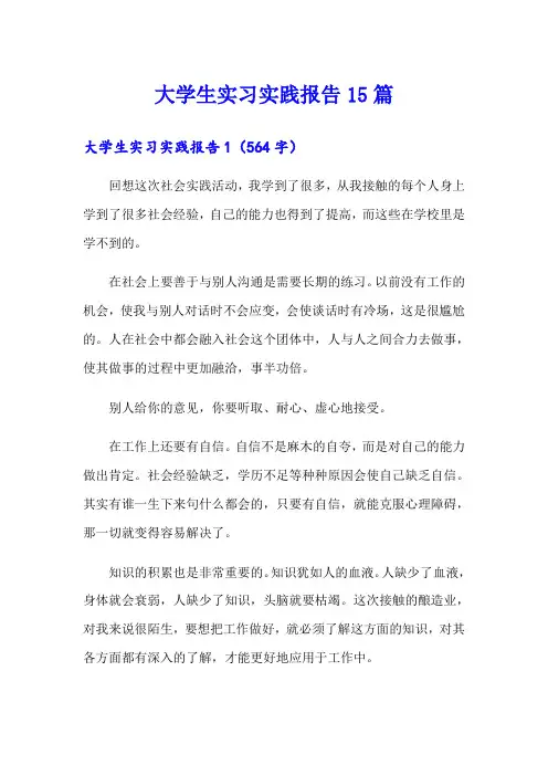 大学生实习实践报告15篇