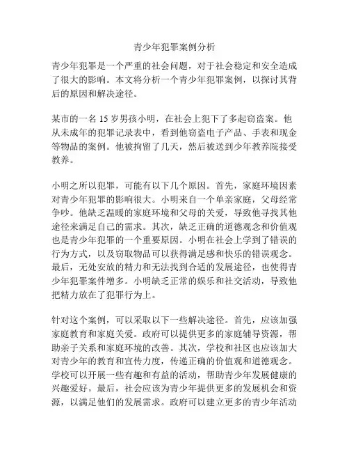 青少年犯罪案例分析