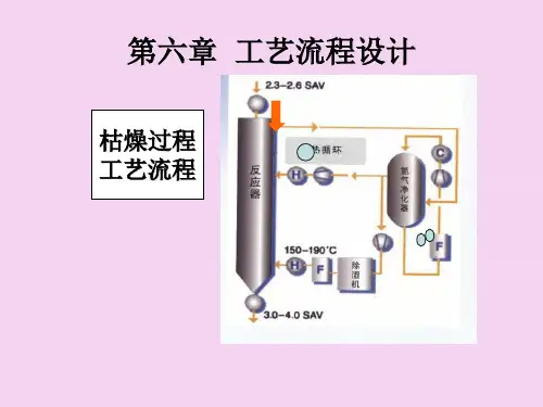 高分子材料加工厂设计徐德增第六章工艺流程设计ppt课件