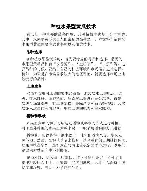 种植水果型黄瓜技术