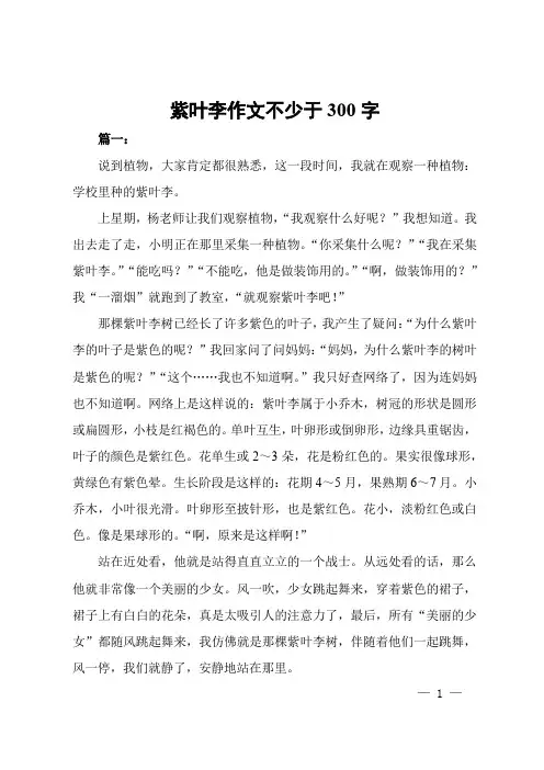 紫叶李作文不少于300字