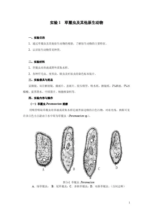 实验-1-草履虫及其他原生动物---华南师范大学生命科学学院全文
