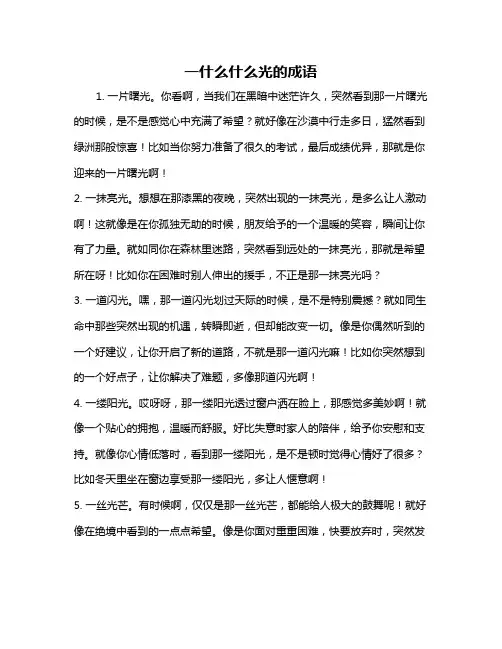 一什么什么光的成语