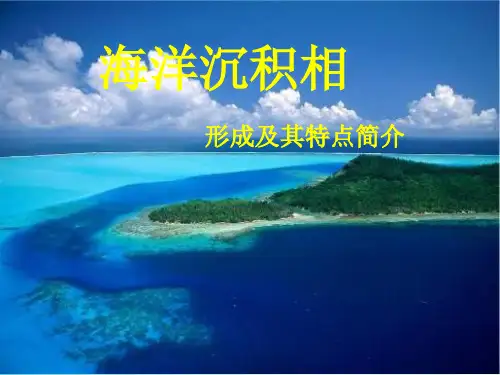 海洋沉积相精品PPT