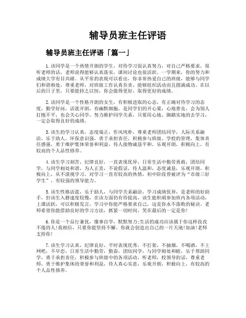 辅导员班主任评语