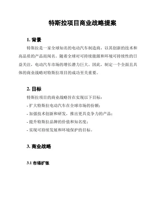 特斯拉项目商业战略提案