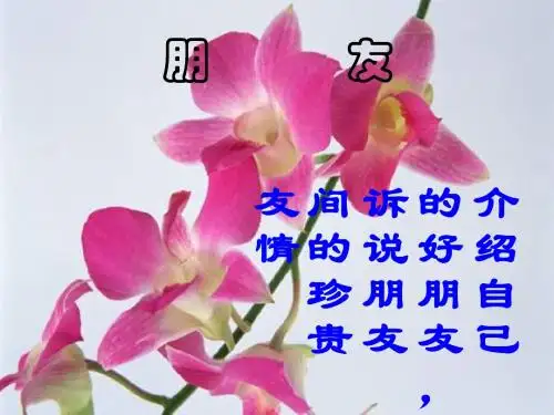 阳关三叠课(动画版6)
