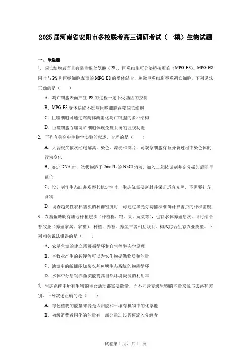 2025届河南省安阳市多校联考高三调研考试(一模)生物试题
