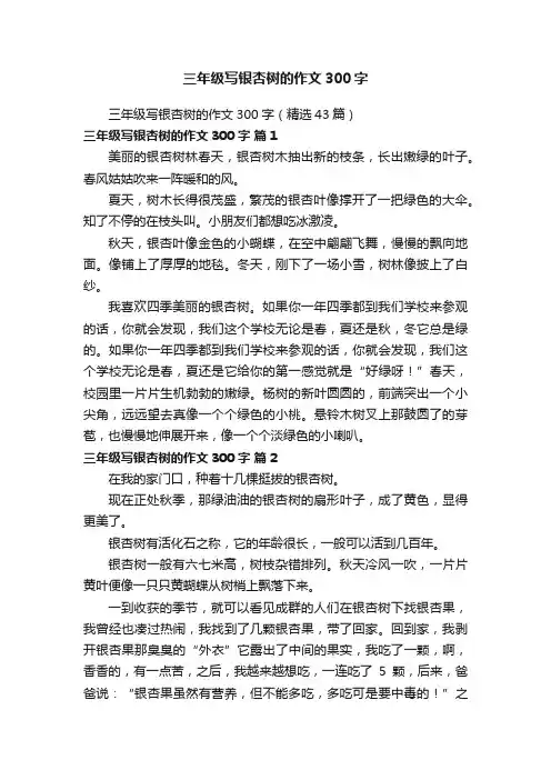 三年级写银杏树的作文300字（精选43篇）