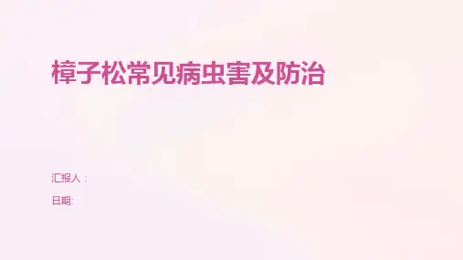 樟子松常见病虫害及防治