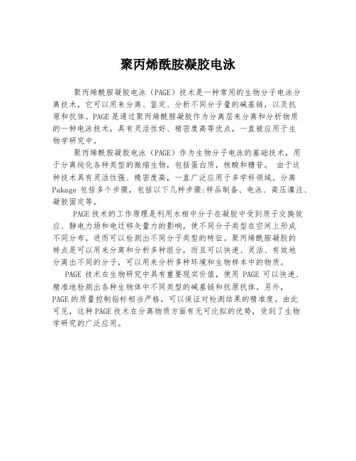 聚丙烯酰胺凝胶电泳