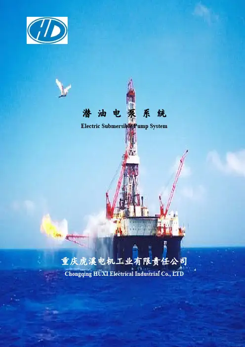 重庆虎溪电机工业有限责任公司潜油电泵采油系统产品说明书