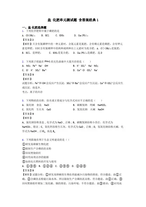 盐 化肥单元测试题 含答案经典1