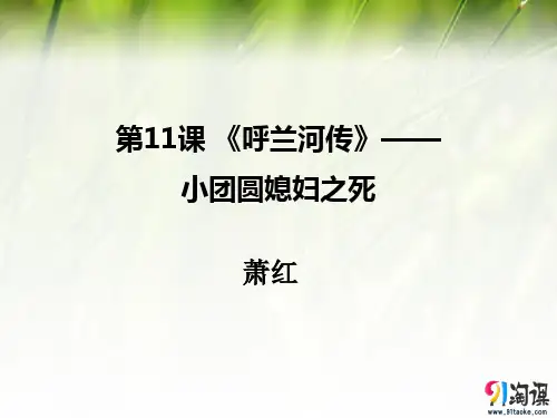 课件8：第9课 《呼兰河传》——小团圆媳妇之死