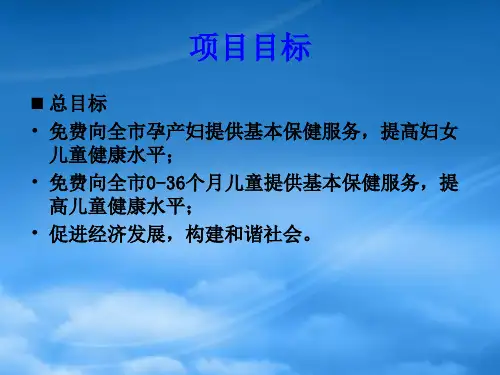 基本公共卫生服务妇幼项目