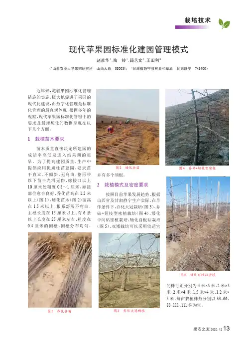 现代苹果园标准化建园管理模式