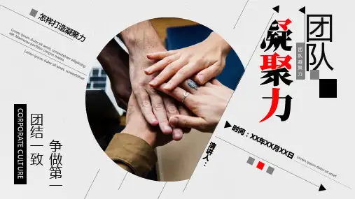 团队凝聚力战斗力培养方案PPT