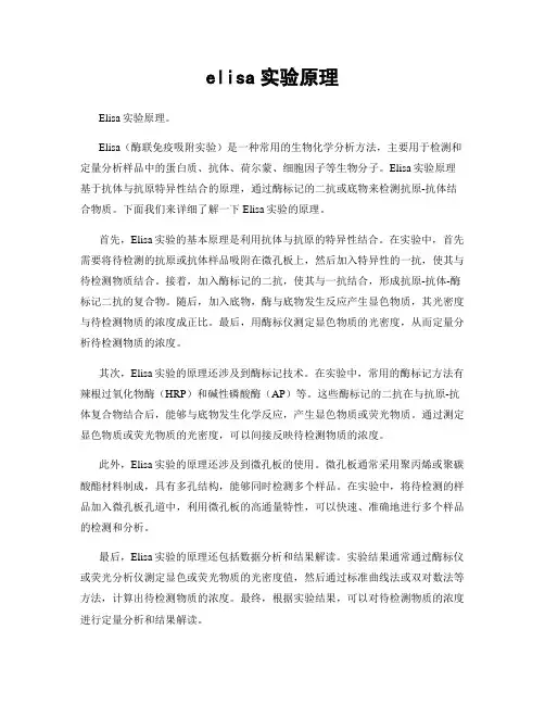 elisa实验原理