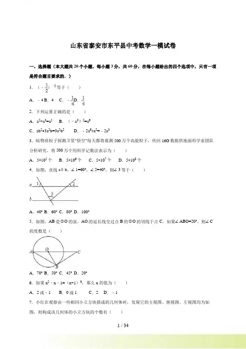 泰安市东平县中考数学一模试卷含答案解析