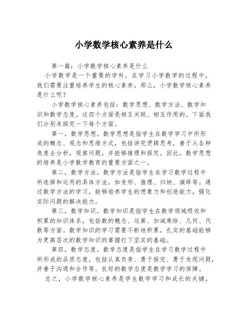 小学数学核心素养是什么3篇