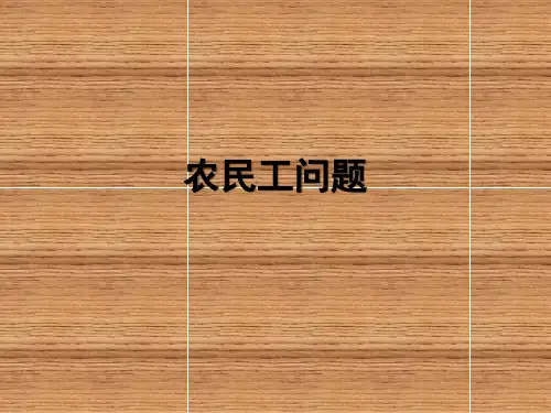 人教版高中地理必修二第一章问题研究《如何看待农民工现象》优质课件(共22张PPT)
