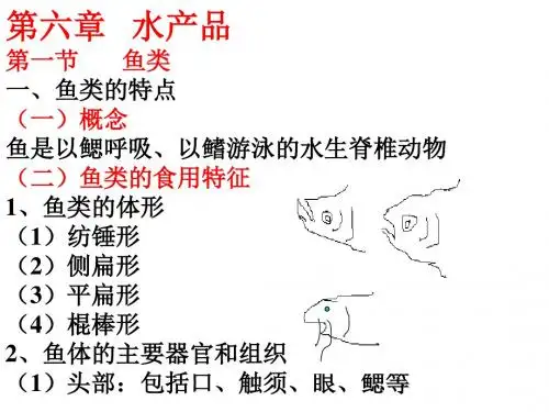 食品原料学第六章水产品