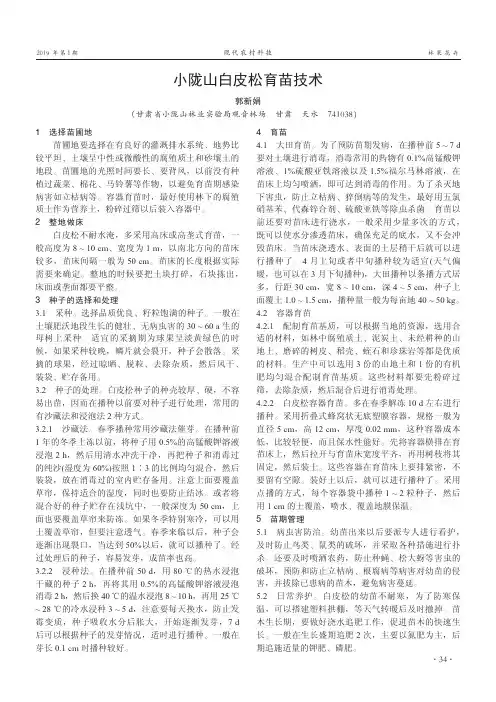 小陇山白皮松育苗技术