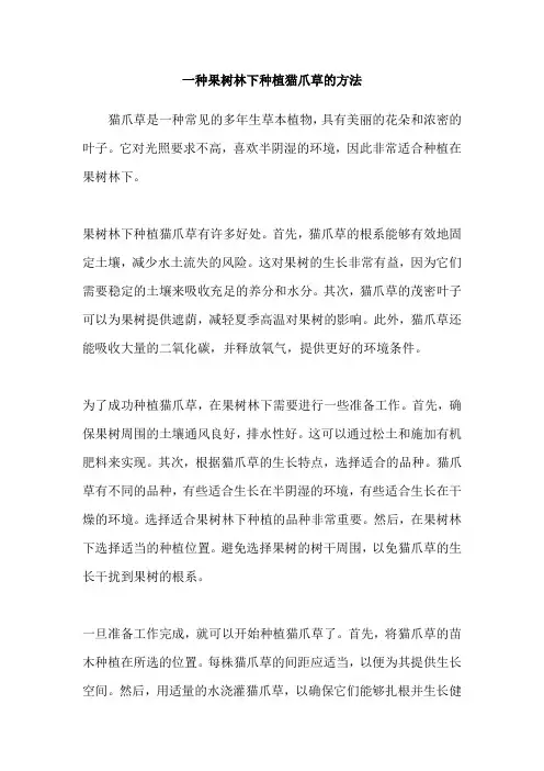 一种果树林下种植猫爪草的方法