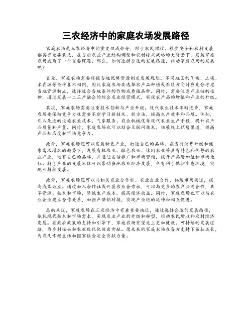 三农经济中的家庭农场发展路径