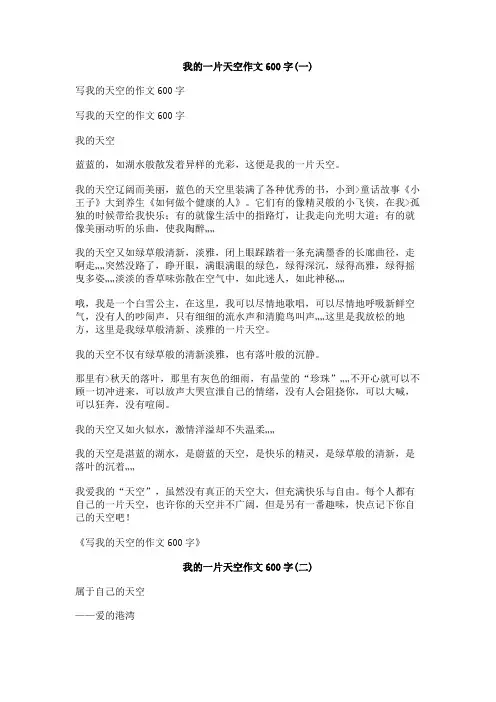 我的一片天空作文600字