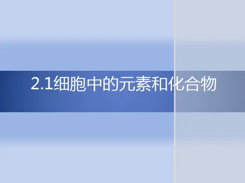 细胞中的元素和化合物PPT课件