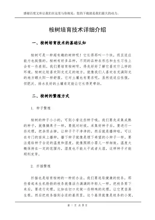 桉树 培育技术 详细介绍