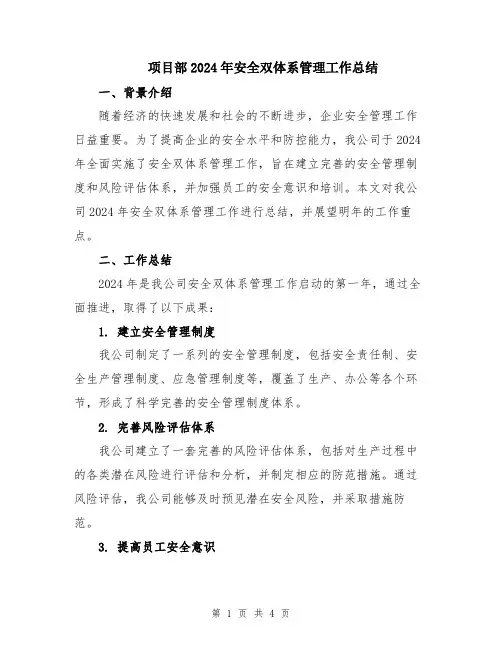 项目部2024年安全双体系管理工作总结