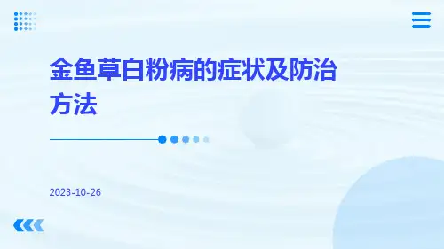 金鱼草白粉病的症状及防治方法