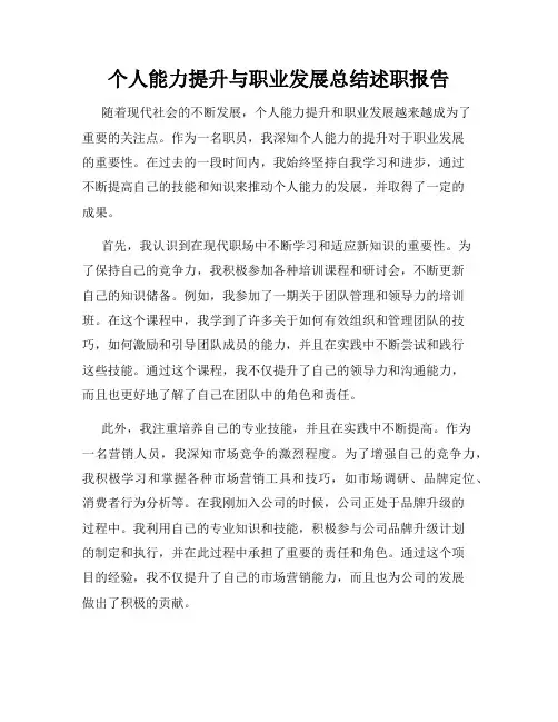 个人能力提升与职业发展总结述职报告