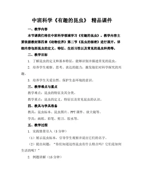 中班科学《有趣的昆虫》 精品课件