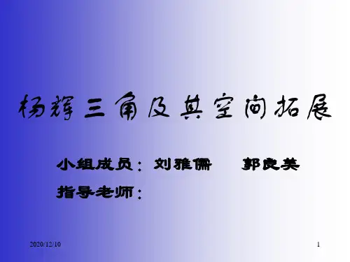 杨辉三角及其空间拓展PPT教学课件