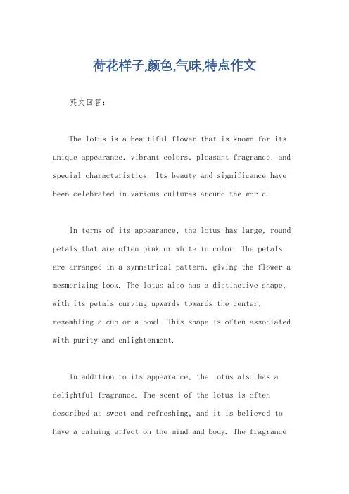 荷花样子,颜色,气味,特点作文