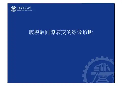 腹膜后间隙病变的影像诊断 共66页PPT资料