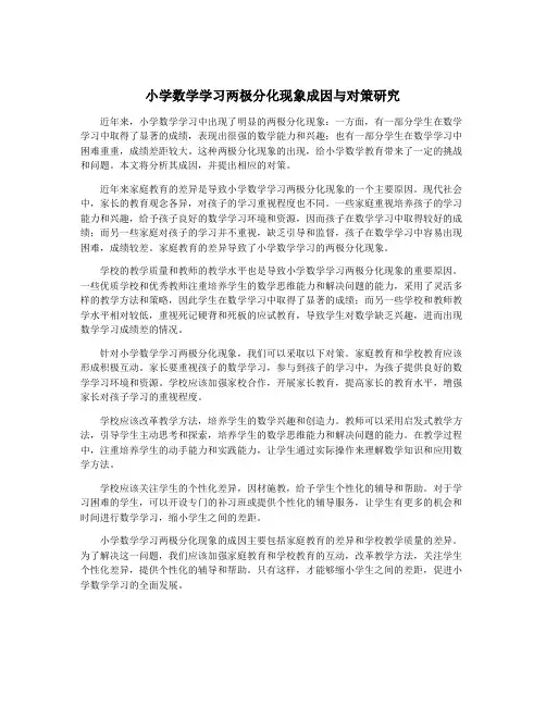 小学数学学习两极分化现象成因与对策研究